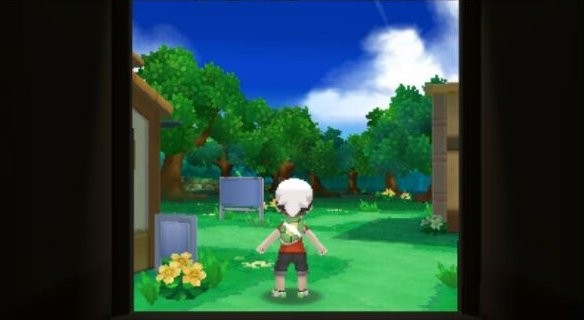 口袋妖怪究极红宝石 1