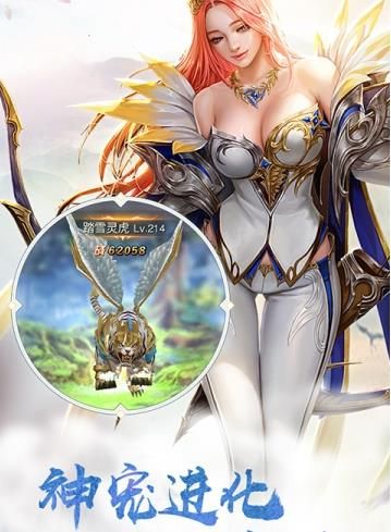 幻想奇迹荣耀游戏 1