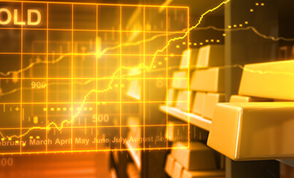 皇御环球贵金属 1