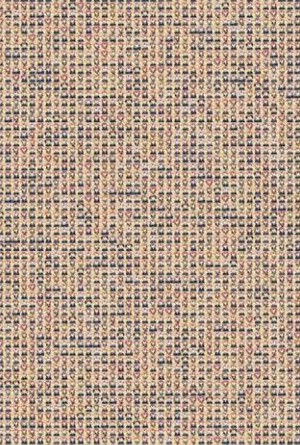 寻找唐可可游戏 2