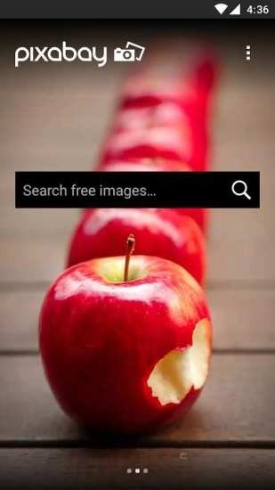 pixabay免费图片 1