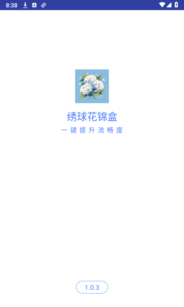 绣球花锦盒 1