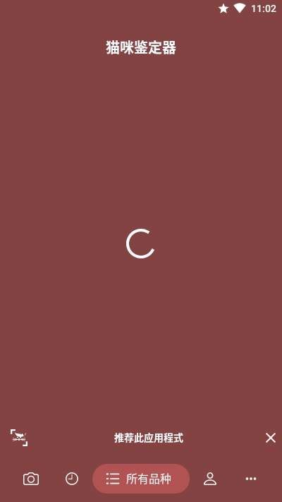猫咪识别器 1