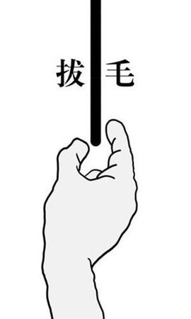 拔毛模拟器 1