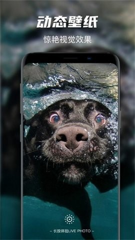 遥望星球壁纸APP 1