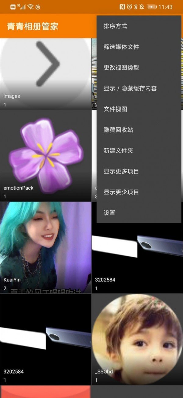 青青相册管家 1