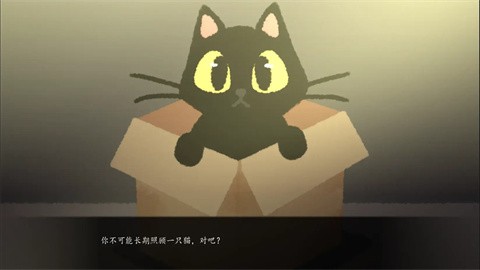 别带这只猫回家手游 1