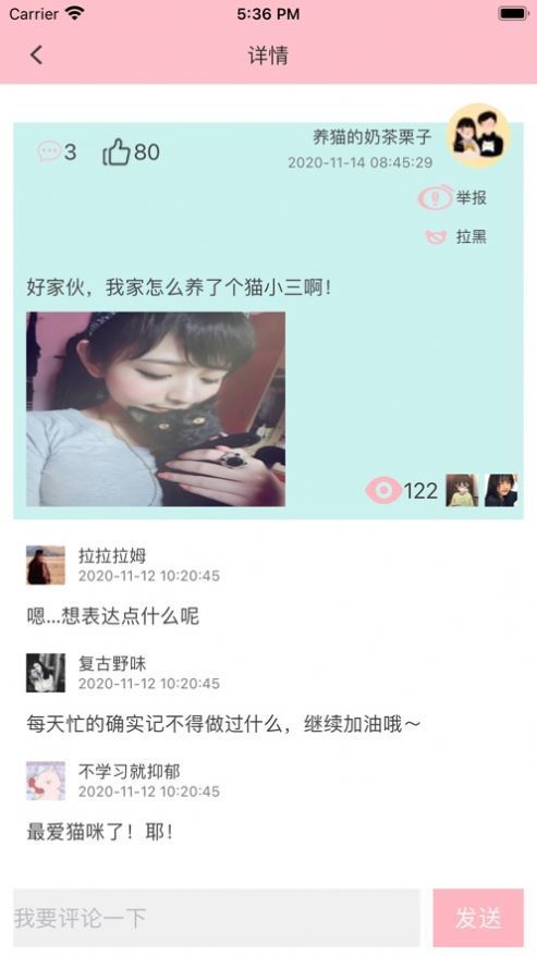 猫咪生活社区 1