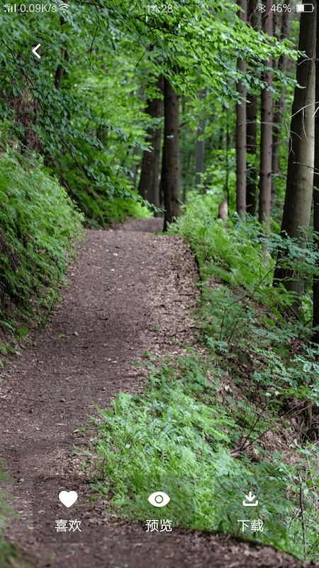 高清美图壁纸 1