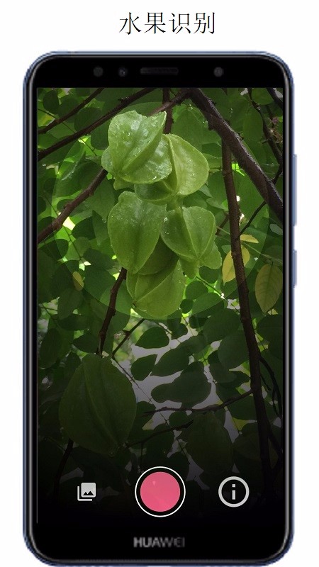 万物识别扫一扫 1