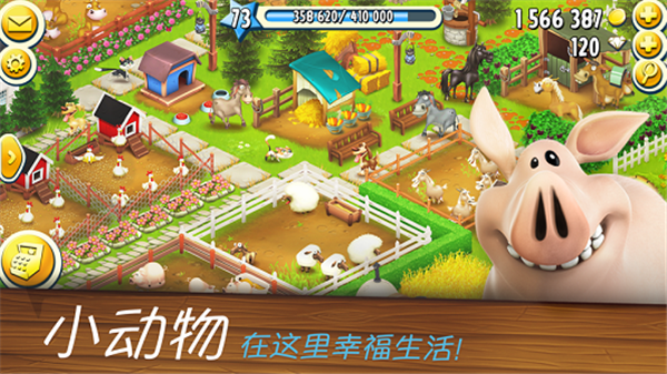 开心庄园2025 1