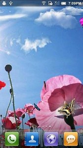 春天蝴蝶动态壁纸 1