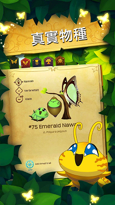 彩翼:蝴蝶保护区 1