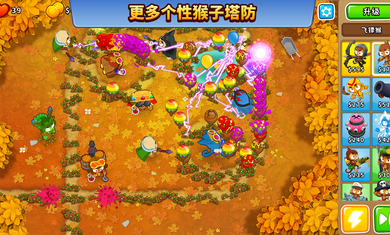猴子塔防6游戏 1