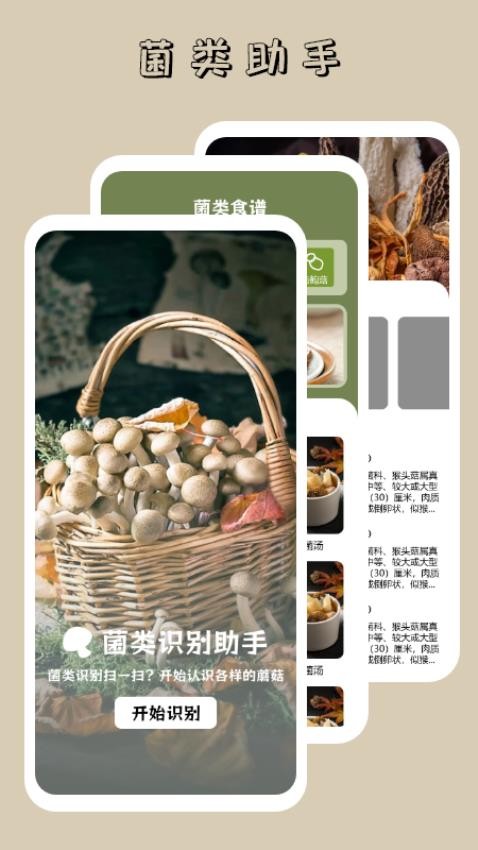 蘑菇识别高手app 1