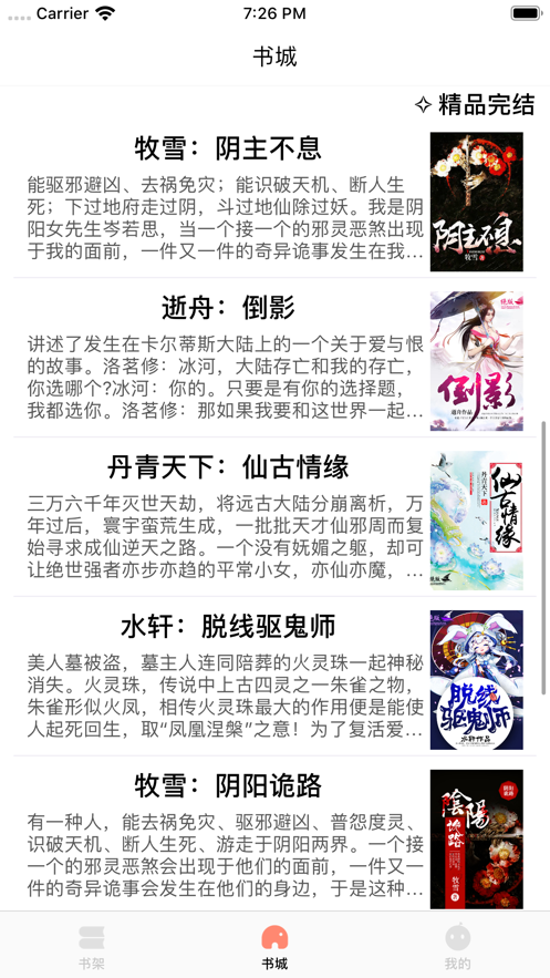 皮皮书小说app 1