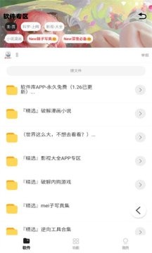 倾城软件库2026最新版本 1