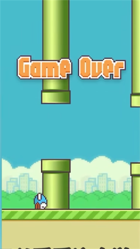 m木糖m笨鸟先飞 1