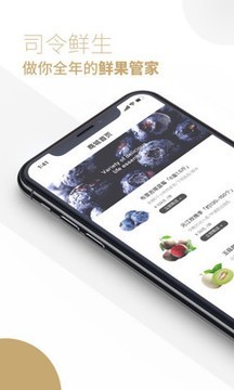 司令生鲜 1