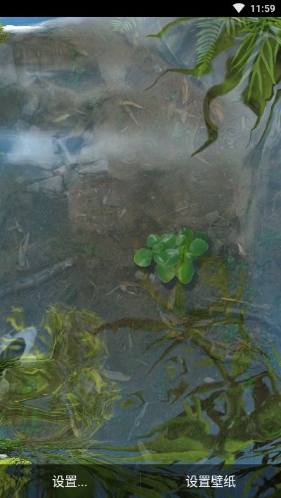 鱼池动态壁纸 1