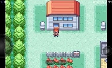 口袋妖怪紫罗兰 1