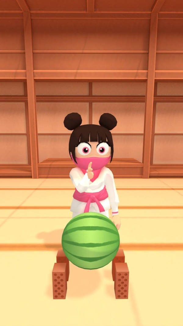 空手道破坏者 1