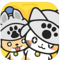寻找猫的错误