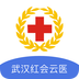 武汉红会云医