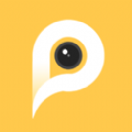 P图宝app
