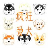 可爱贵妇犬红包版