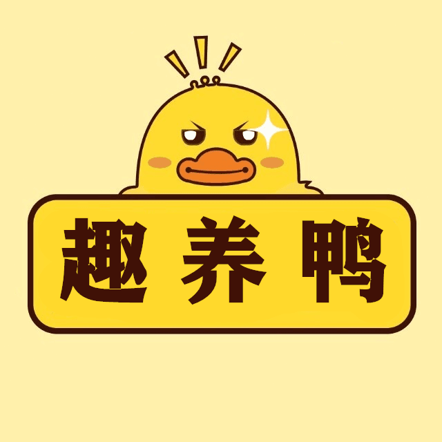 趣养鸭APP