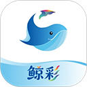 智慧笑联app官方下载