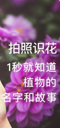 形色相机app手机版 1