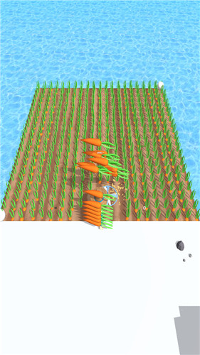 我的农场我做主 1