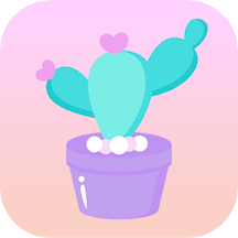 全能桌面小组件