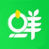 鲜米到家app