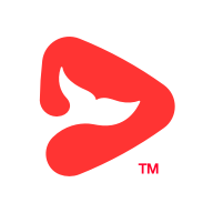 锦书在线app 2.32.7.10001