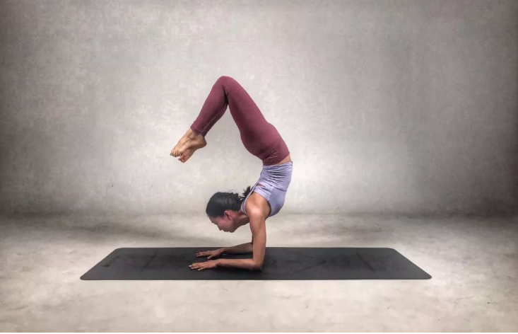 免费瑜伽教程app 1