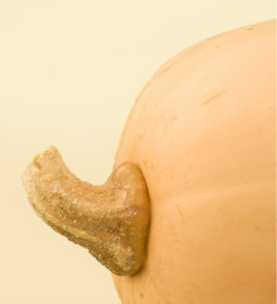 每日优鲜最新版 4