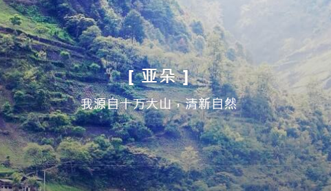 亚朵app 1