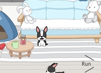 Hellopet宠物养成app 1