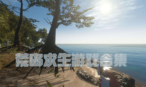 荒岛求生游戏