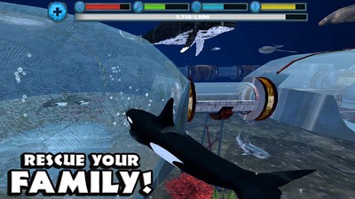 终极虎鲸模拟器 1