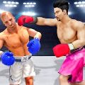 战斗经理2025武术比赛游戏
