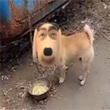 炫狗盒免广告版