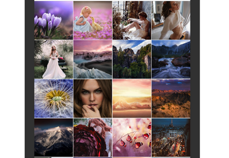 Alook浏览器纯净版app 1