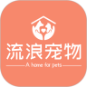 流浪宠物