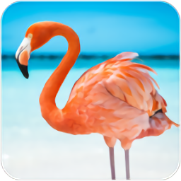 火烈鸟模拟器游戏