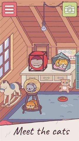 猫咪旅馆最新版 1