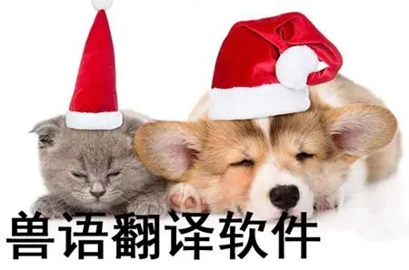 可以和猫狗交流翻译的软件